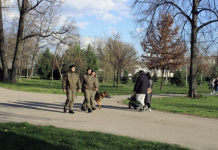 Vojna policija na ulicama Srbije: Ovako izgledaju pojačane mere bedzbednosti