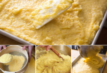 Ovo je najzdraviji ručak na svijetu…TREBALI BI GA JESTI SVAKI DAN