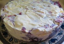 SLADOLED TORTA SA VAŠIM OMILJENIM VOĆEM ZA 10 MINUTA