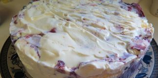 SLADOLED TORTA SA VAŠIM OMILJENIM VOĆEM ZA 10 MINUTA