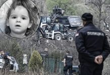 Osumnjičeni za ubistvo Danke: Nismo je nikad vidjeli niti udarili autom