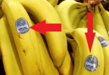 Naljepnice na Bananama nisu tu bez razl0ga: Kad vidite šta znače, 0BAVEZN0 ćete ih gledati, a jedan BR0J na njima je P0SEBN0 važan