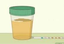 Koliko Puta Dnevno Mokrite? Evo Koliko je Normalno