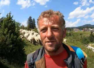 “Zbog ovaca sam se tri puta razvodio, više ih volim od žena” Ispovest čobanina Bude: “Ne bih menjao posao ni za jednu kancelariju”