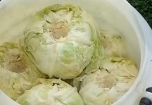 KAKO SE ZAPRAVO KISELI KUPUS? Domaćice moraju znati ovaj trik, sve će biti mnogo lakše i brže uz ovu namirnicu