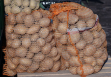 Kako Pravilno Skladištiti Krompir: Savjeti za Dugotrajnu Svježinu