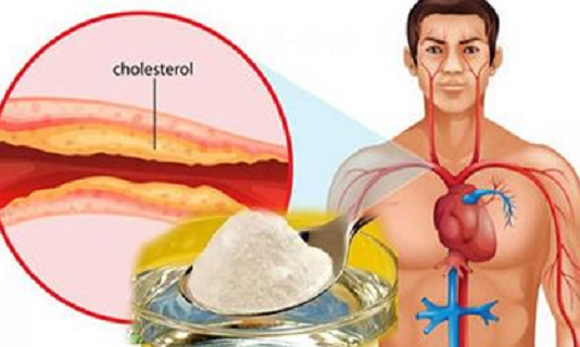 Najbolji lijek protiv kolesterola i visokog krvnog tlaka