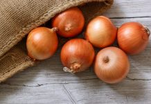 Ako bolujete od OVIH bolesti, morate izbjegavati crni luk!