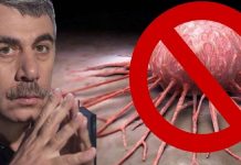 ONKOLOZI MOLE DA NE JEDETE OVIH 7 NAMIRNICA! PRAVO SMEĆE KOJE IZAZIVA TEŠKA OBOLJENJA!