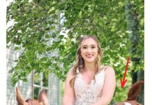 OVA SLIKA JE NAJVEĆI HIT, LJUDI PLAČU OD SMIJEHA: Kad vidite donji dio slike NEĆE VAM BITI DOBRO