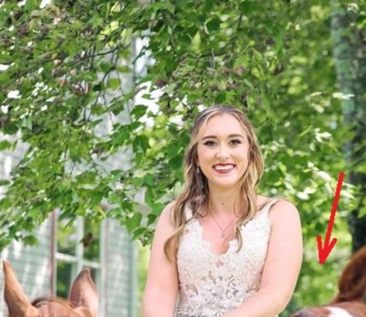 OVA SLIKA JE NAJVEĆI HIT, LJUDI PLAČU OD SMIJEHA: Kad vidite donji dio slike NEĆE VAM BITI DOBRO