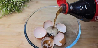 Uzmite ljuske od jaja, običnu KOLU i sačuvajte ovaj domaći trik: Koristim ga godinama i preporučujem svima