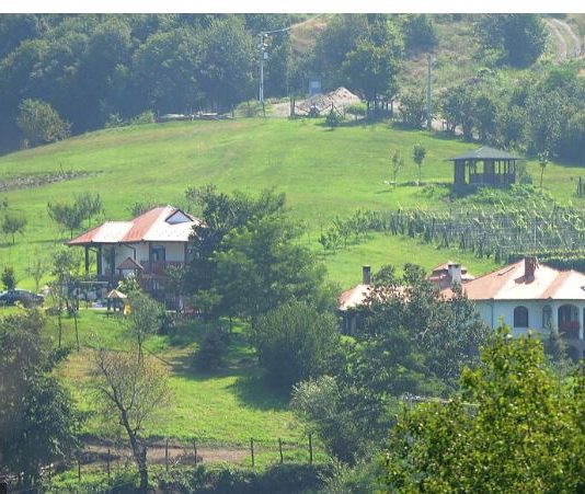 Radosav u Čačku upoznao Albanku, rodila mu troje dece: Doživela šok kad je videla da svekrva