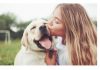 ZNATE LI ŠTA ZNAČI AKO VAM PAS LIŽE RUKU: Nije ljubav, evo šta želi da vam poruči