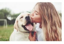 ZNATE LI ŠTA ZNAČI AKO VAM PAS LIŽE RUKU: Nije ljubav, evo šta želi da vam poruči