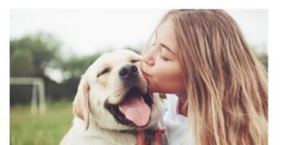 ZNATE LI ŠTA ZNAČI AKO VAM PAS LIŽE RUKU: Nije ljubav, evo šta želi da vam poruči