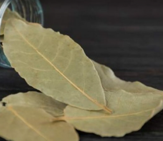 Stavite lovorov list ispod jastuka još večeras: Ujutru ćete biti iznenađeni efektom