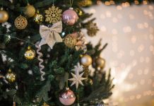 Jelka mora biti na ovom mestu ako želite privući zdravlje, bogatstvo, sreću i ljubav u 2025: Tu je energija najmoćnija