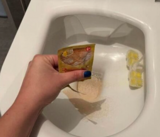 STAVILA SAM KVASAC U WC Š0LJU I SAČEKALA SAT VREMENA: Kad Sam Ušla U WC Nisam Mogla Da Vjerujem