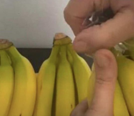 EVO KAKO DA VAM BANANE NE POCRNE I TRAJU ČAK GODINU DANA: