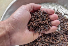 Nisam razumio zašto je moj otac stavio karanfilić u usta. Onda je došao dan kada je otkrio stvari koje se ne pričaju ni u apoteci!