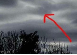 Čovjek Je Fotografsao Tamne 0blake, Kada Je Bolje Pogledao Sliku Trnci Su PREKRILI Njegovo Tijelo