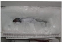 Riješite se naslaga leda u frižideru uz jednu namirnicu koju svi imamo u kući: Trik zlata vrijedan