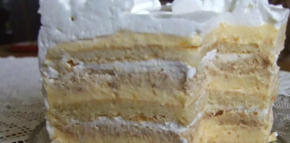 Bijela Plazma Torta – Savršen Kremasti Desert za Svaku Priliku