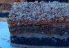 Savršeno sočan kolač od maka i oraha – Recept za desert iz snova!