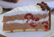 Plazma torta sa malinama ili jagodama – Savršen spoj hrskavog keksa i sočnog voća!