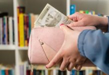 Branje borovnica – sezonski posao koji iscrpljuje, ali dobro plaća: Dnevnica i do 5.000 dinara