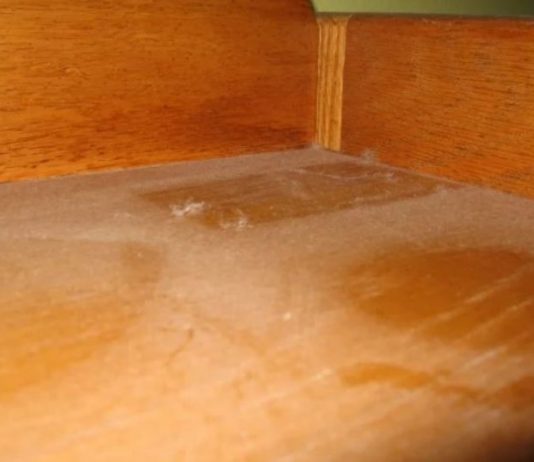 Prašinu na namještaju nećete vidjeti čak dvije nedjelje: TREBAJU VAM SAMO 3 SASTOJKA IZ KUĆE