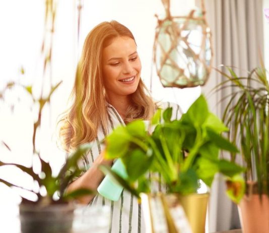 Biljka koja uspeva samo kod posebnih ljudi: Ako raste u vašem domu, nosite retku energiju