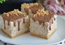 PLAZMA SLADOLED KOCKE…Brzo, jednostavno i osvježavajuće…