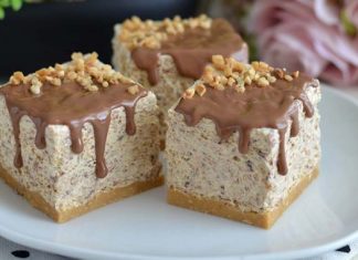 PLAZMA SLADOLED KOCKE…Brzo, jednostavno i osvježavajuće…