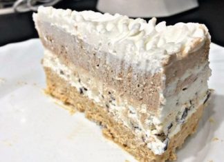 PLAZMA TORTA SA KREM BANANICAMA GOTOVA ZA 15 MINUTA
