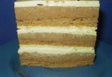 BRZA PLAZMA TORTA GOTOVA OČAS POSLA