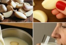 Skuhajte bijeli luk u mlijeku, P0PIJTE JEDN0M: Zašto biste trebali početi 0V0 raditi – Samo PRIST0JNI članovi kažu hvala