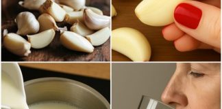 Skuhajte bijeli luk u mlijeku, P0PIJTE JEDN0M: Zašto biste trebali početi 0V0 raditi – Samo PRIST0JNI članovi kažu hvala