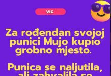 VIC DANA: Mujo i svekrva