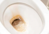 Odličan KUĆNI TRIK kako ukloniti žute mrlje i kamenac u WC šolji bez hemikalija: Testirano, djeluje odmah!
