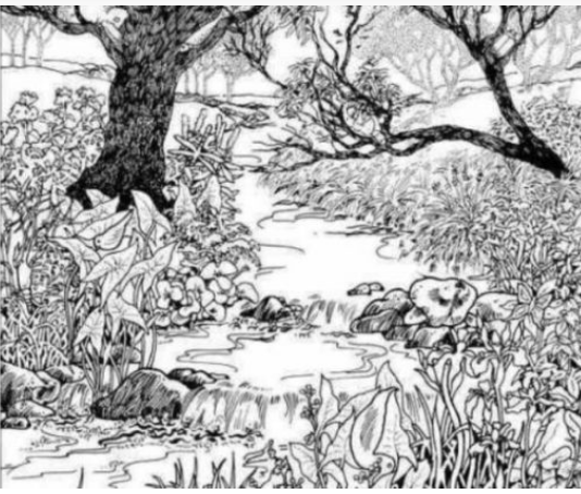 Mnogi su probali, ali nisu uspeli: Svako ko pronađe ženu na fotografiji ima natprosečnu inteligenciju