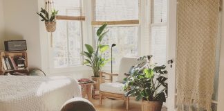 Zovu je biljkom nesreće: Nikada je ne sadite, a ako je dobijete na poklon – odmah je bacite iz kuće!