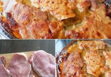 KREMENADLE IZ RERNE – JAKO MEKE,U FINOM SOSU,A PRIPREMA VRLO JEDNOSTAVNA I BRZA