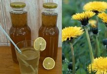 RECEPT ZA DOMAĆI SIRUP OD MASLAČKA: Ljekovita superhrana za koju ne morate izdvojiti ni eura…