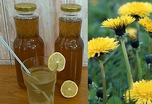 RECEPT ZA DOMAĆI SIRUP OD MASLAČKA: Ljekovita superhrana za koju ne morate izdvojiti ni eura…