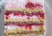 PLAZMA TORTA SA MALINAMA