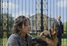 Niko nije mogao da priđe psu osim nje — a kad je rekla šta želi, čovek je zaplakao