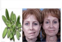 Ova ČUDESNA BILJKA liječi paralizu LICA i još mnoge druge bolesti – Evo kako se koristi