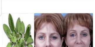 Ova ČUDESNA BILJKA liječi paralizu LICA i još mnoge druge bolesti – Evo kako se koristi